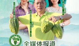 全家吃瓜千金爆料小说,揭秘豪门背后的惊天秘密