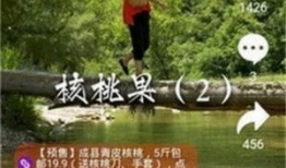 拍呱呱短视频编导,创意无限，趣味横生的短视频盛宴