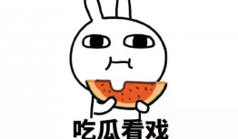 全家吃瓜千金爆料小说,揭秘豪门背后的惊天秘密