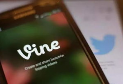 几秒钟短视频,短视频背后的精彩故事