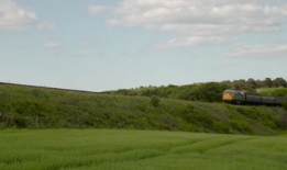 草原短视频素材,自然画卷中的动感瞬间