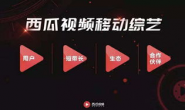 短视频原创平台,创意无限，精彩纷呈的数字舞台