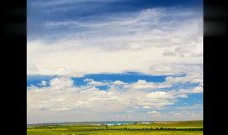 草原短视频,自然画卷中的宁静与活力