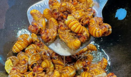 知了短视频,捕捉生活瞬间，展现青春风采