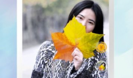 冬瓜短视频,揭秘家常菜中的养生佳品