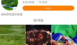 草原短视频,自然画卷中的宁静与活力